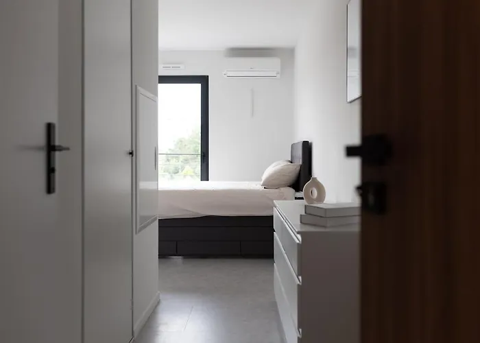 Ambre - Centre - Albi